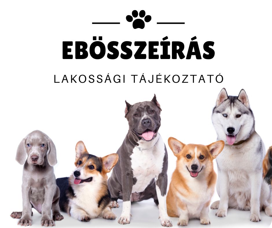 ebosszeiras