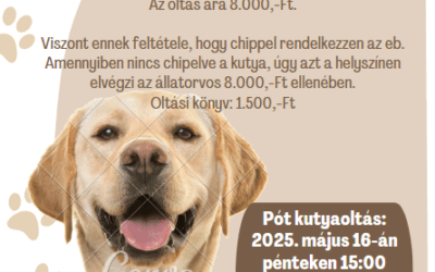 Kutyaoltás