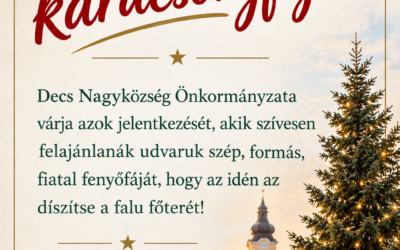 Felhívás